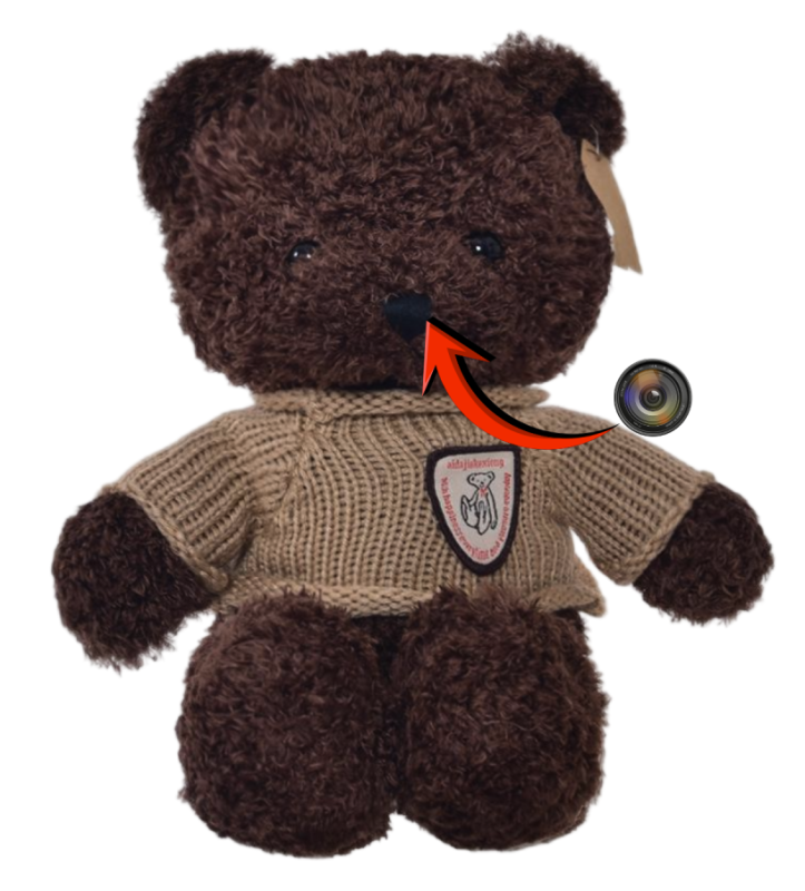 Plüsch-Teddybär mit integrierter versteckter WiFi-IP-Kamera
