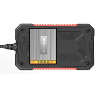 Endoskopische Kamera P40 mit LCD-Display