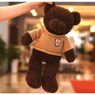 Plüsch-Teddybär mit integrierter versteckter WiFi-IP-Kamera