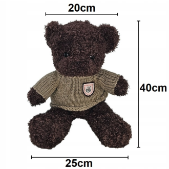 Plüsch-Teddybär mit integrierter versteckter WiFi-IP-Kamera
