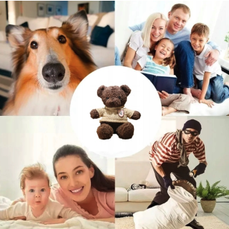 Plüsch-Teddybär mit integrierter versteckter WiFi-IP-Kamera