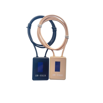 PROFI GSM Schleife + 20W Verstärker